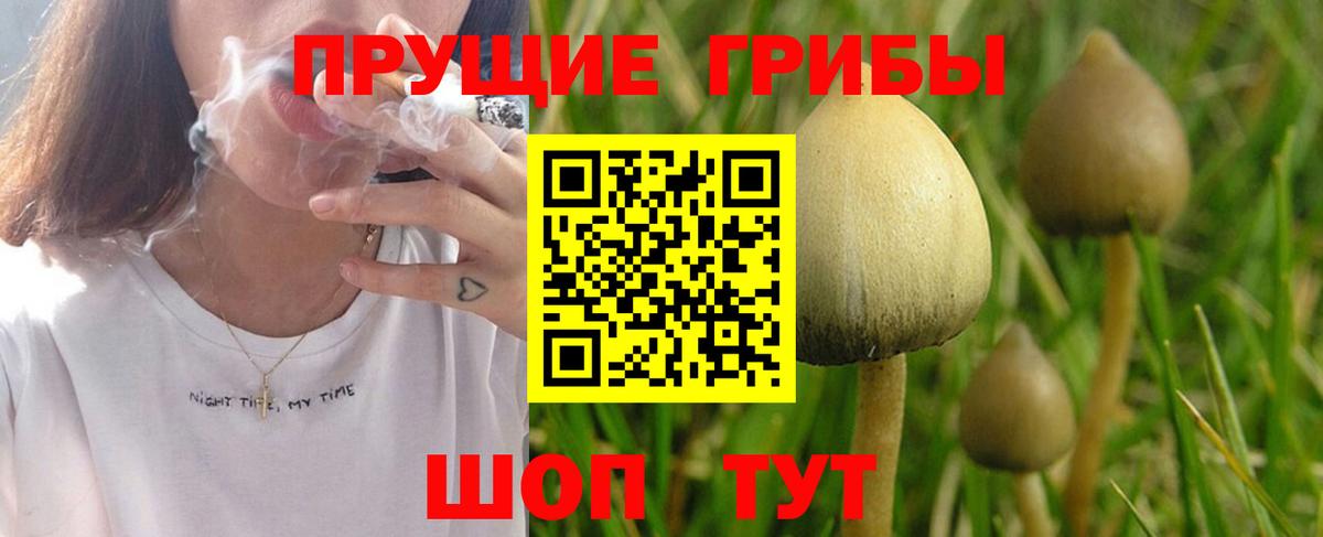 Псилоцибиновые грибы Psilocybe  Галлюциногенные грибы Psilocybe  Дзержинск  Вход с VPN 